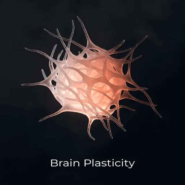 Cover of Brain Plasticity